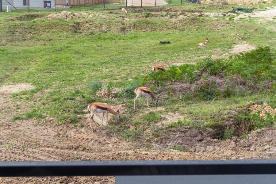 3 Bedroom Property for Sale in Eden Residential Estate Western Cape